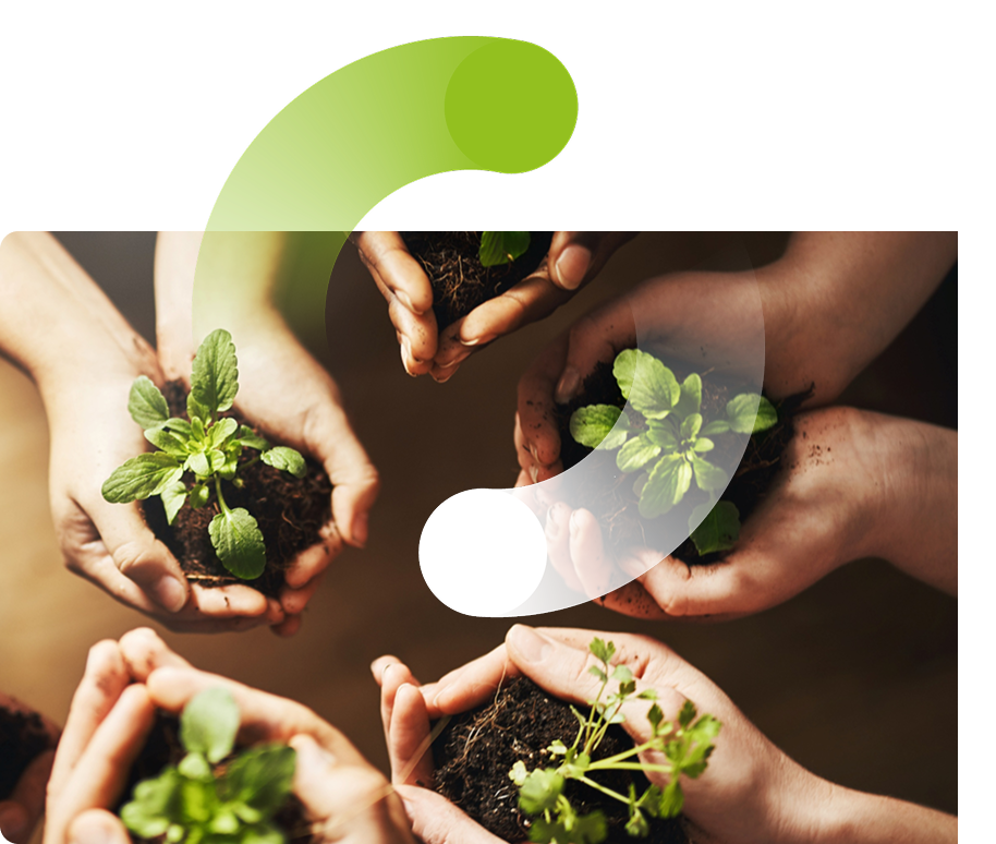 O Poder do Ecossistema Green Circle