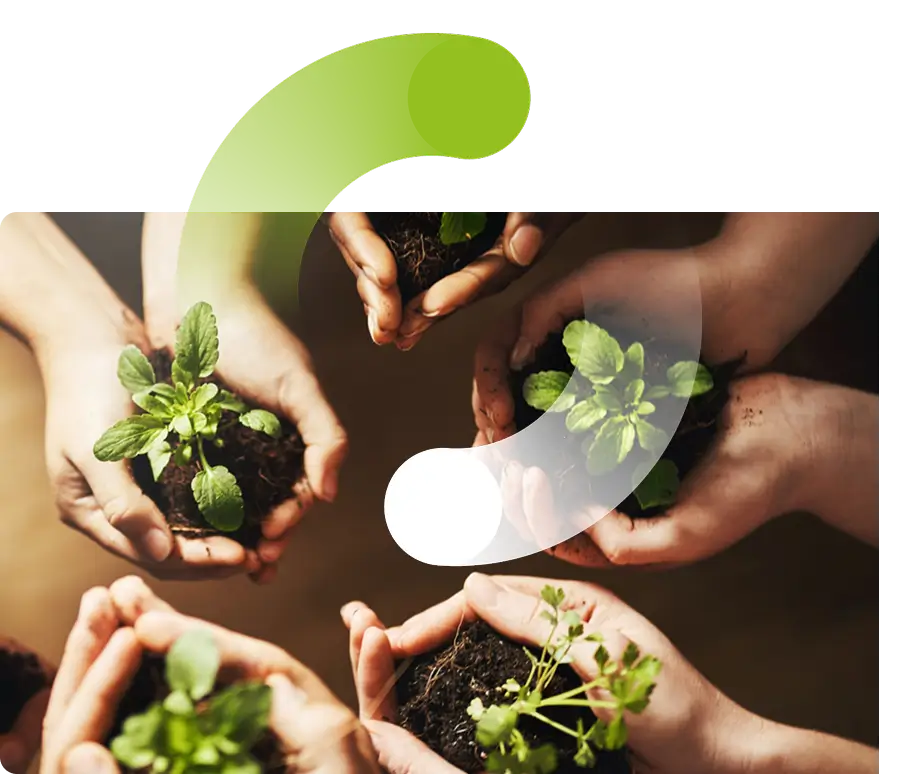 O Poder do Ecossistema Green Circle